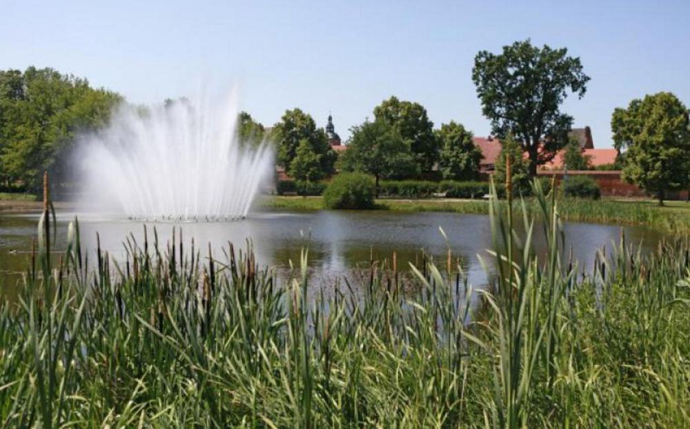 Blick in den Park, Foto: Henry Mundt, Lizenz: TMB Tourismus-Marketing Brandenburg GmbH Blick in den Park, Foto: Henry Mundt, Lizenz: TMB Tourismus-Marketing Brandenburg GmbH
