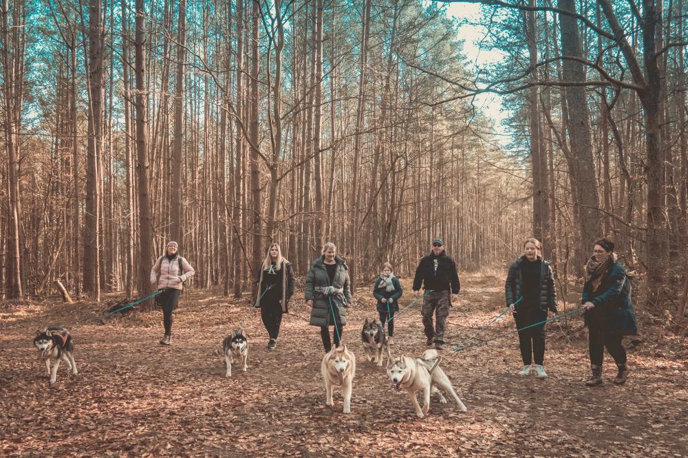 Husky Trekking, Foto: J. Friedrich Husky Trekking, Foto: J. Friedrich