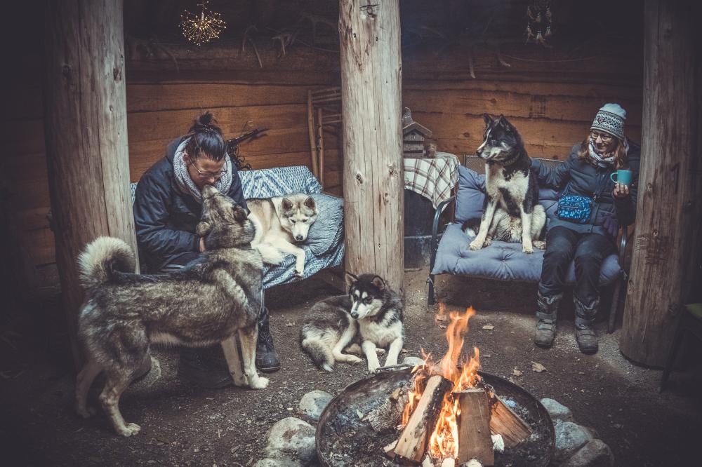 Huskys am Feuer, Foto: J. Friedrich