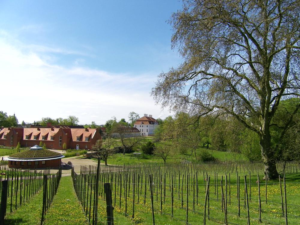 Schlosswirt Meseberg, Foto: Tourismusverband Ruppiner Seenland e.V., Lizenz: Tourismusverband Ruppiner Seenland e.V.