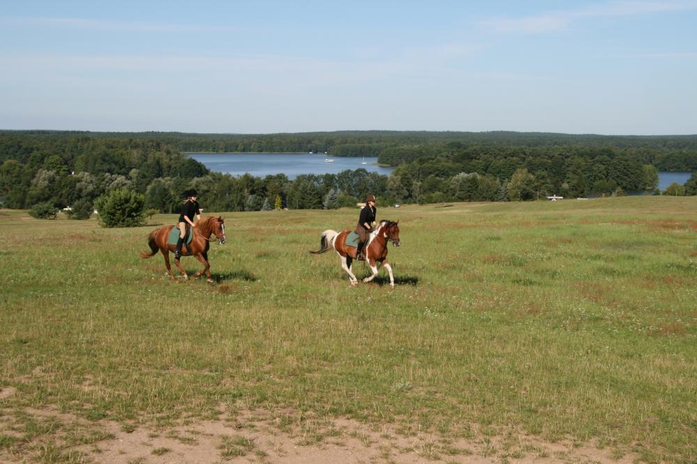 Seeblick und Reiterglück, Foto: Juliane Rensch Seeblick und Reiterglück, Foto: Juliane Rensch