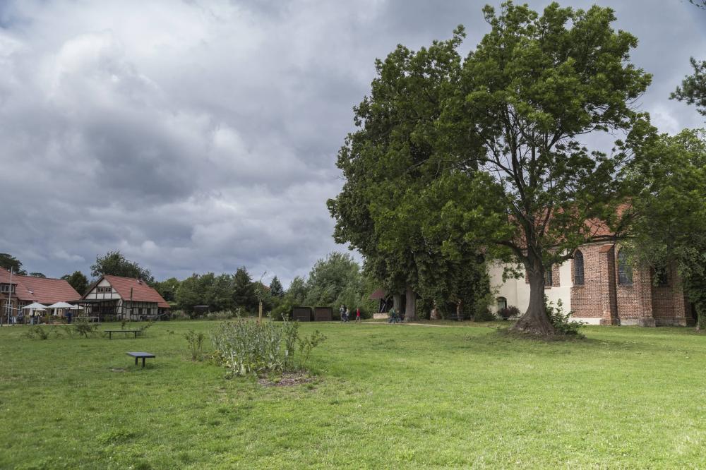 Zisterzienser Klosterruine Himmelpfort