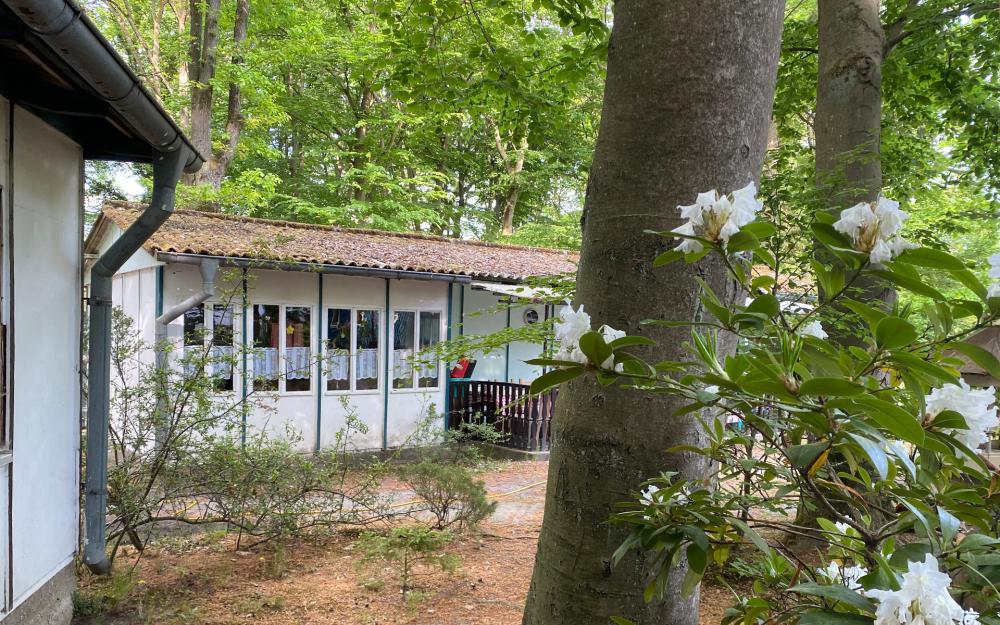 Ferienwohnungen am Stechlinsee, Foto: Frau Borret, Lizenz: Frau Borret