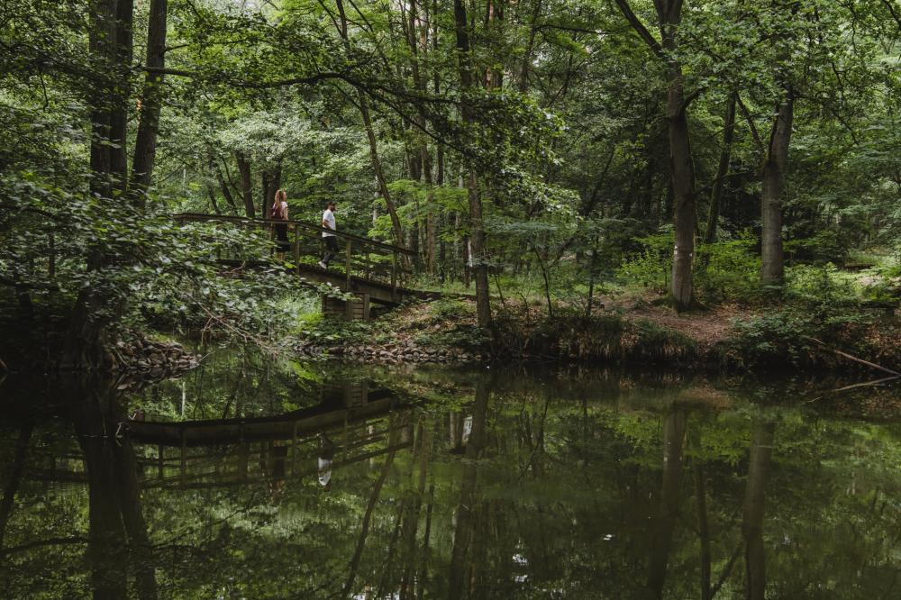 Wanderer auf einer Brücke über den Hegensteinbach, Foto: Madlen Krippendorf, Lizenz: Stadt Fürstenberg/Havel