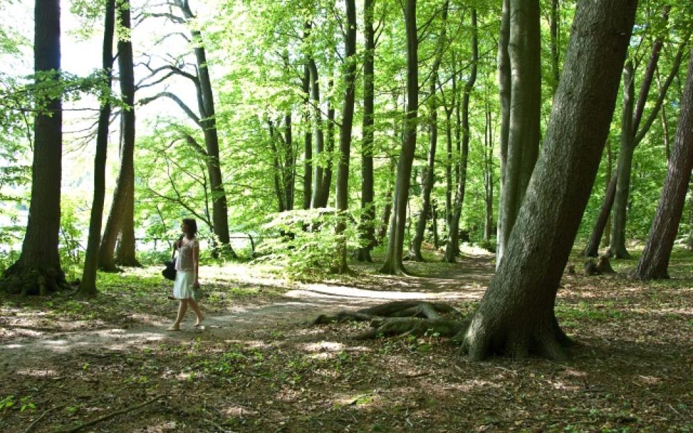 Ruppiner-Land-Rundwanderweg, Foto: Studio Prokopy