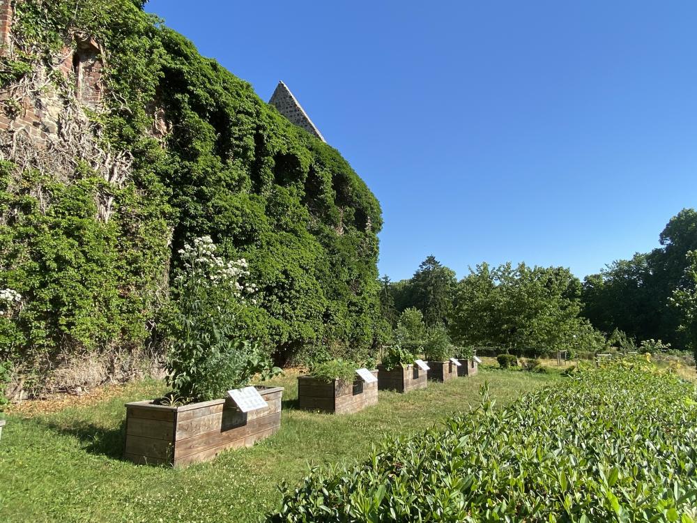 Kräutergarten , Foto: Elisabeth Kluge, Lizenz: Tourist-Information Zehdenick Kräutergarten , Foto: Elisabeth Kluge, Lizenz: Tourist-Information Zehdenick