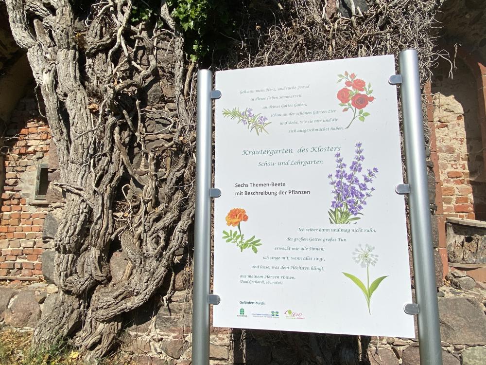 Kräutergarten, Foto: Elisabeth Kluge, Lizenz: Tourist-Information Zehdenick Kräutergarten, Foto: Elisabeth Kluge, Lizenz: Tourist-Information Zehdenick