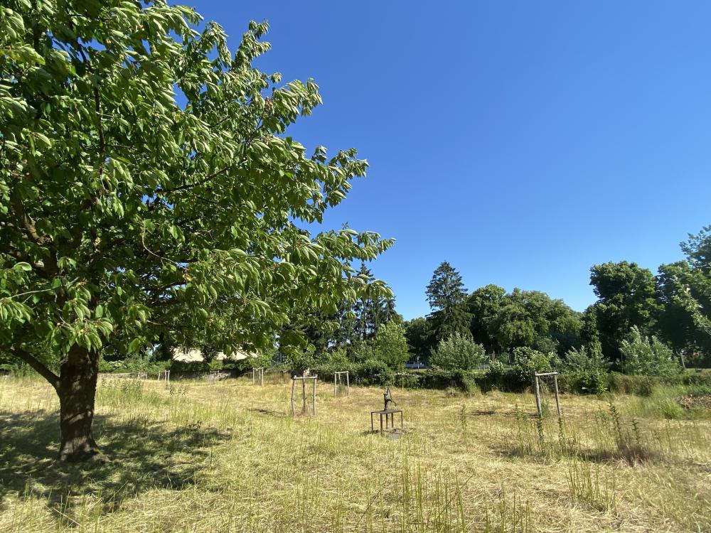 Klostergarten Zehdenick