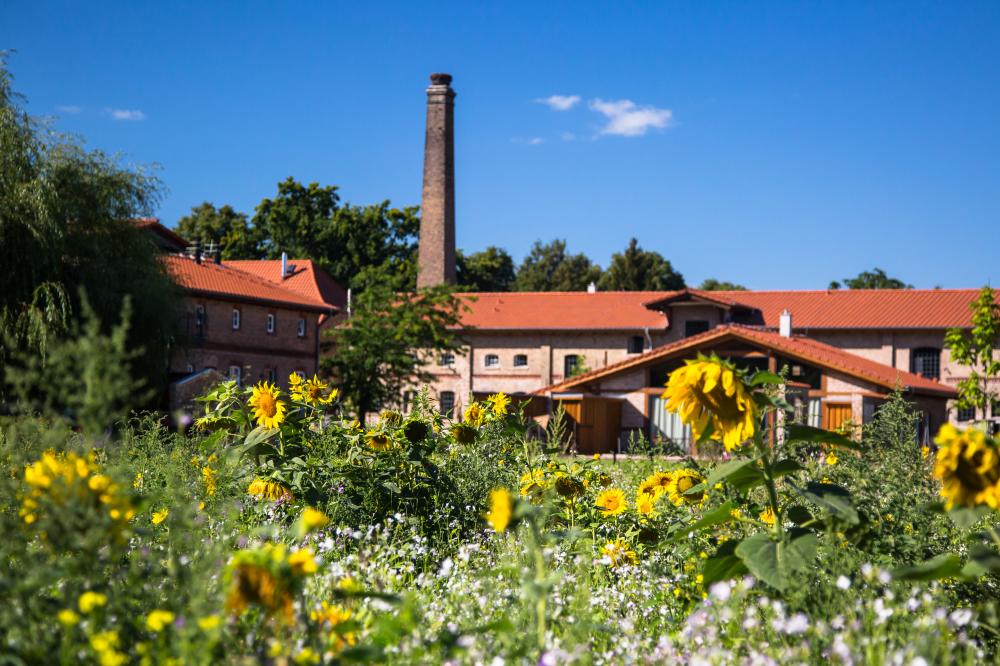 Storchenhof Blumenow, Foto: Günter Poley, Lizenz: Günter Poley