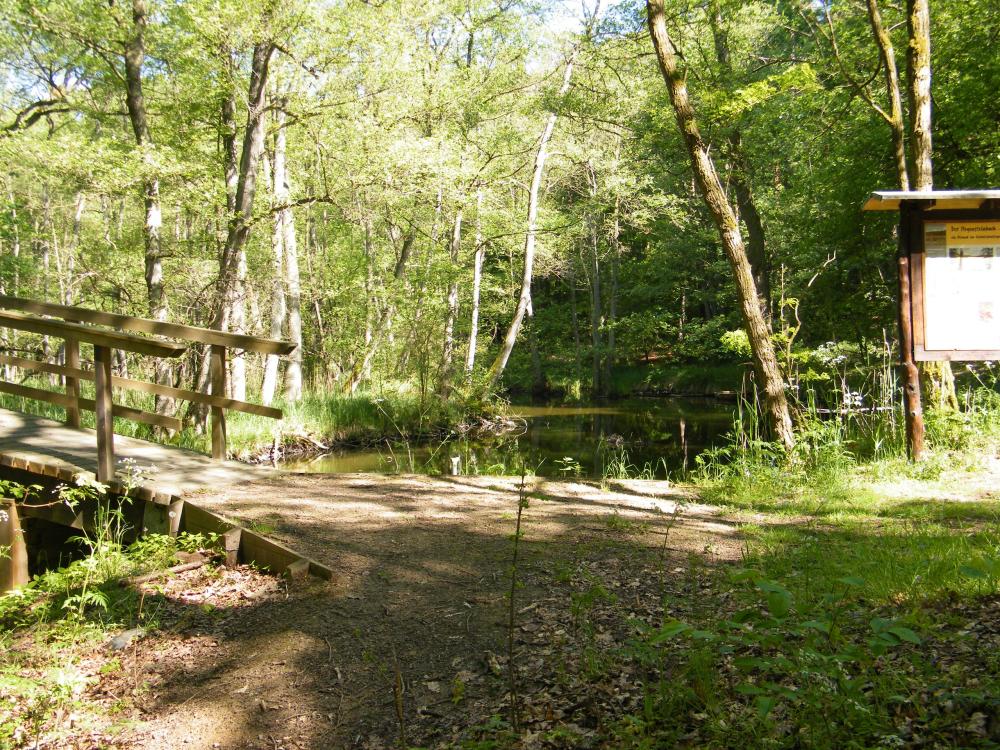 Wanderung um den Hegensteinbach, Foto: TI Fürstenberg/Havel, Lizenz: TI Fürstenberg/Havel Wanderung um den Hegensteinbach, Foto: TI Fürstenberg/Havel, Lizenz: TI Fürstenberg/Havel