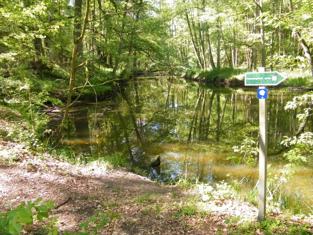 Wanderung um den Hegensteinbach, Foto: TI Fürstenberg/Havel, Lizenz: TI Fürstenberg/Havel Wanderung um den Hegensteinbach, Foto: TI Fürstenberg/Havel, Lizenz: TI Fürstenberg/Havel