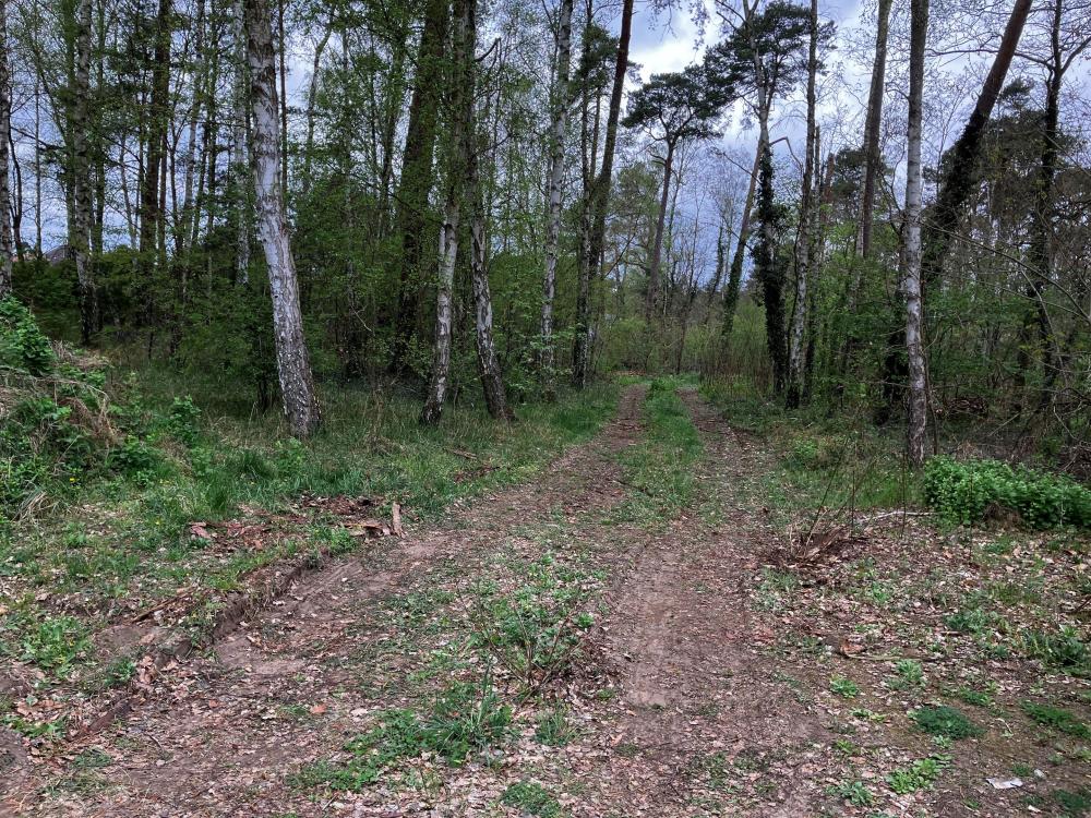 Vom Parkplatz zum Rundweg um den Sidowsee, Foto: Jörg Bartz, Lizenz: TV Ruppiner Seenland e.V. Vom Parkplatz zum Rundweg um den Sidowsee, Foto: Jörg Bartz, Lizenz: TV Ruppiner Seenland e.V.