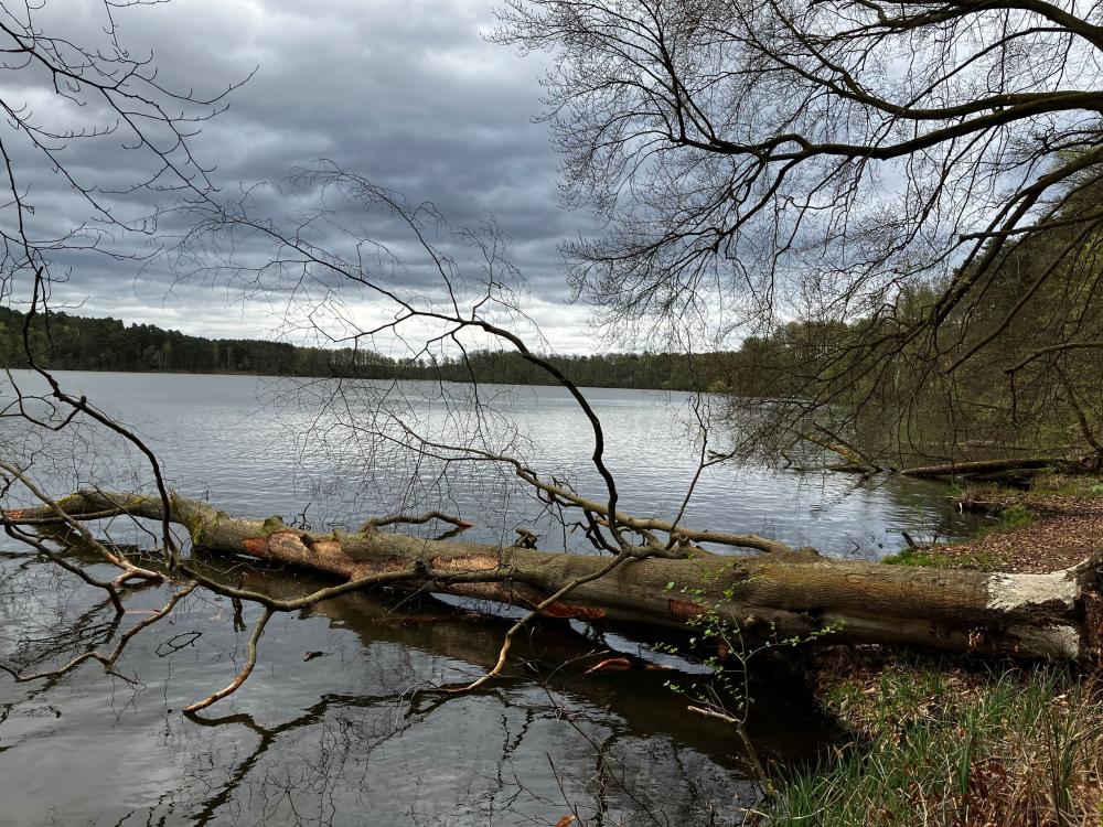 Blick auf den Sidowsee vom gegenüber liegendem Ufer, Foto: Jörg Bartz, Lizenz: TV Ruppiner Seenland e.V. Blick auf den Sidowsee vom gegenüber liegendem Ufer, Foto: Jörg Bartz, Lizenz: TV Ruppiner Seenland e.V.