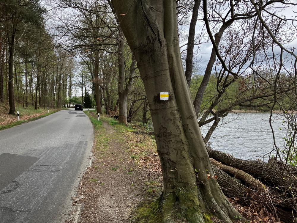 Wanderweg entlang der Straße für einen kleinen Abschnitt, Foto: Jörg Bartz, Lizenz: TV Ruppiner Seenland e.V. Wanderweg entlang der Straße für einen kleinen Abschnitt, Foto: Jörg Bartz, Lizenz: TV Ruppiner Seenland e.V.