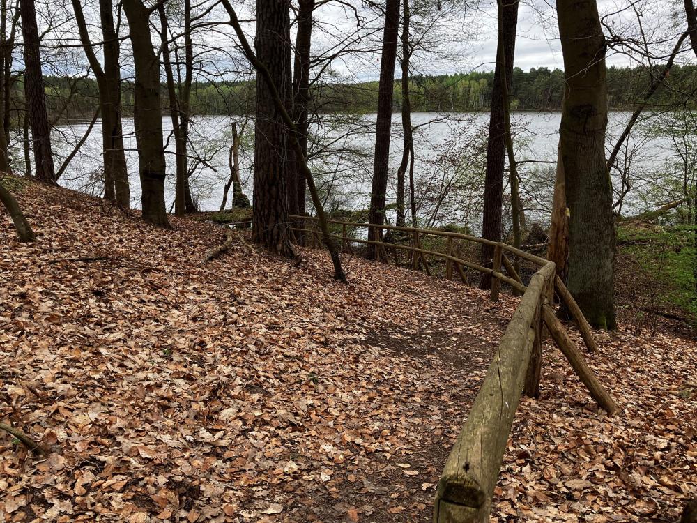Wanderweg führt zum See hin, Foto: Jörg Bartz, Lizenz: TV Ruppiner Seenland e.V. Wanderweg führt zum See hin, Foto: Jörg Bartz, Lizenz: TV Ruppiner Seenland e.V.