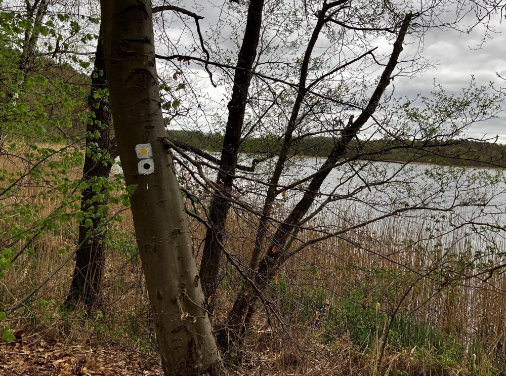 Wegmarkierungen der Wanderstrecke, Foto: Jörg Bartz, Lizenz: TV Ruppiner Seenland e.V. Wegmarkierungen der Wanderstrecke, Foto: Jörg Bartz, Lizenz: TV Ruppiner Seenland e.V.