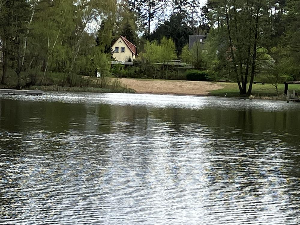 Moderfitzsee Badestelle mit Fischreiher, Foto: Jörg Bartz, Lizenz: TV Ruppiner Seenland e.V. Moderfitzsee Badestelle mit Fischreiher, Foto: Jörg Bartz, Lizenz: TV Ruppiner Seenland e.V.