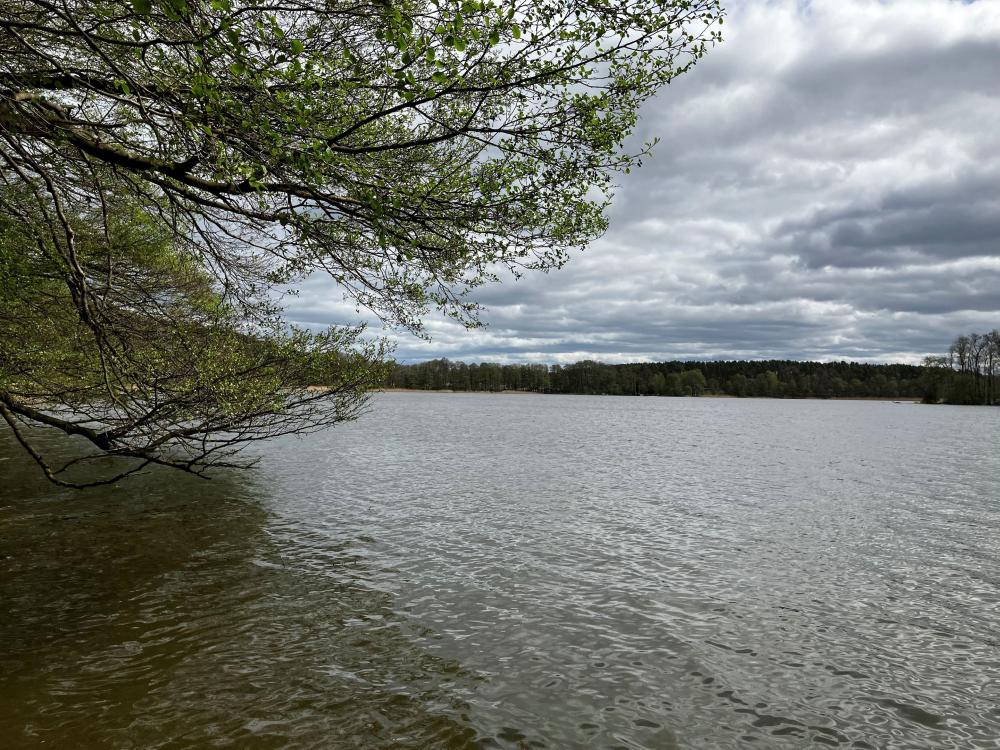 Blick auf den Moderfitzsee, Foto: Jörg Bartz, Lizenz: TV Ruppiner Seenland e.V. Blick auf den Moderfitzsee, Foto: Jörg Bartz, Lizenz: TV Ruppiner Seenland e.V.