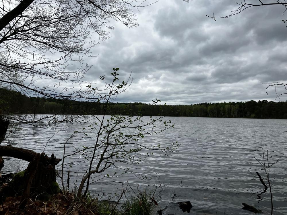 Blick auf den Sidowsee vom Ufer, Foto: Jörg Bartz, Lizenz: TV Ruppiner Seenland e.V. Blick auf den Sidowsee vom Ufer, Foto: Jörg Bartz, Lizenz: TV Ruppiner Seenland e.V.