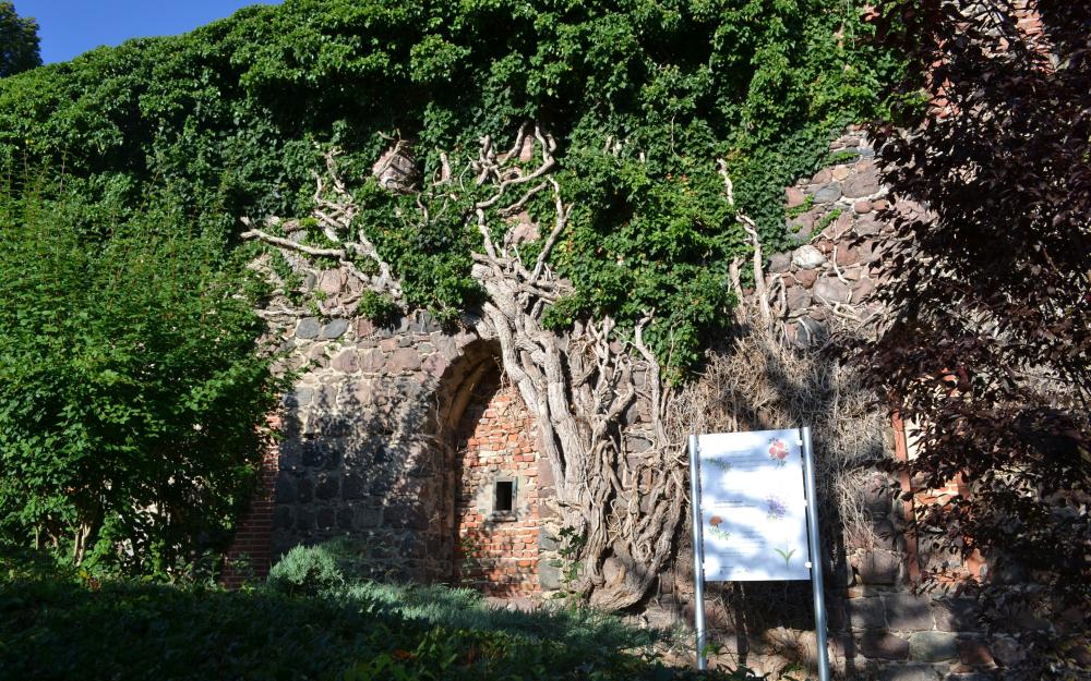 Kloster Zehdenick, Foto: Stefan Determann, Lizenz: Kirchenkreis OHL Kloster Zehdenick, Foto: Stefan Determann, Lizenz: Kirchenkreis OHL