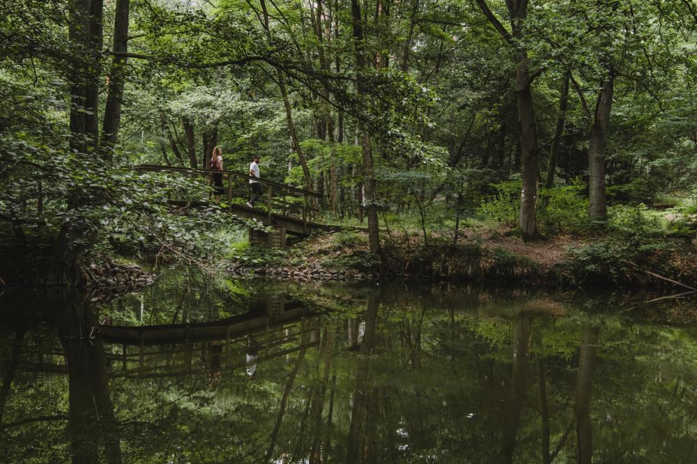 Naturführungen rund um Fürstenberg und Himmelpfort
