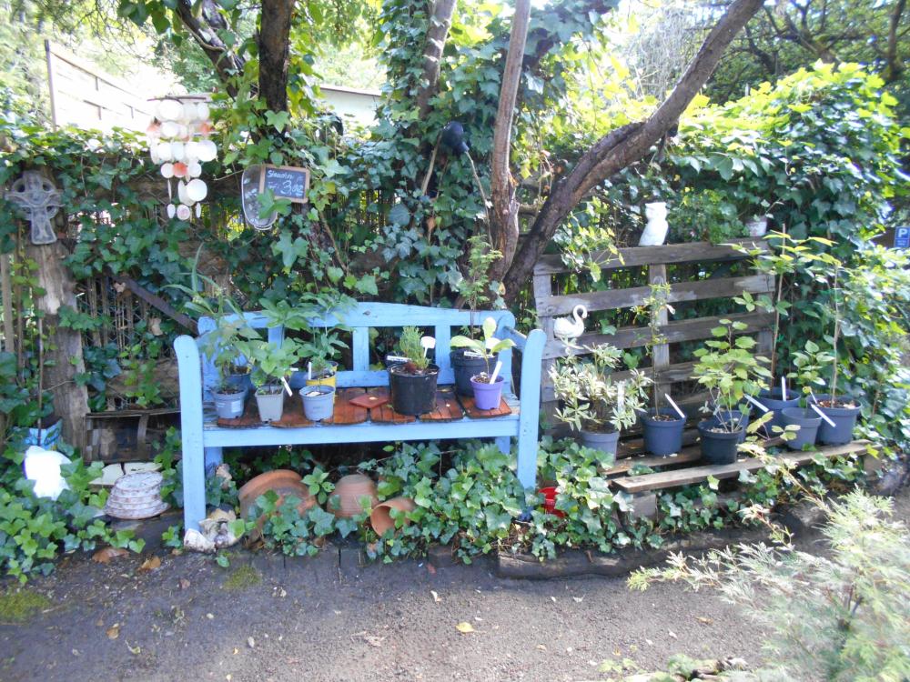 Exotik-Kunst-Garten mit Galerie Nagel