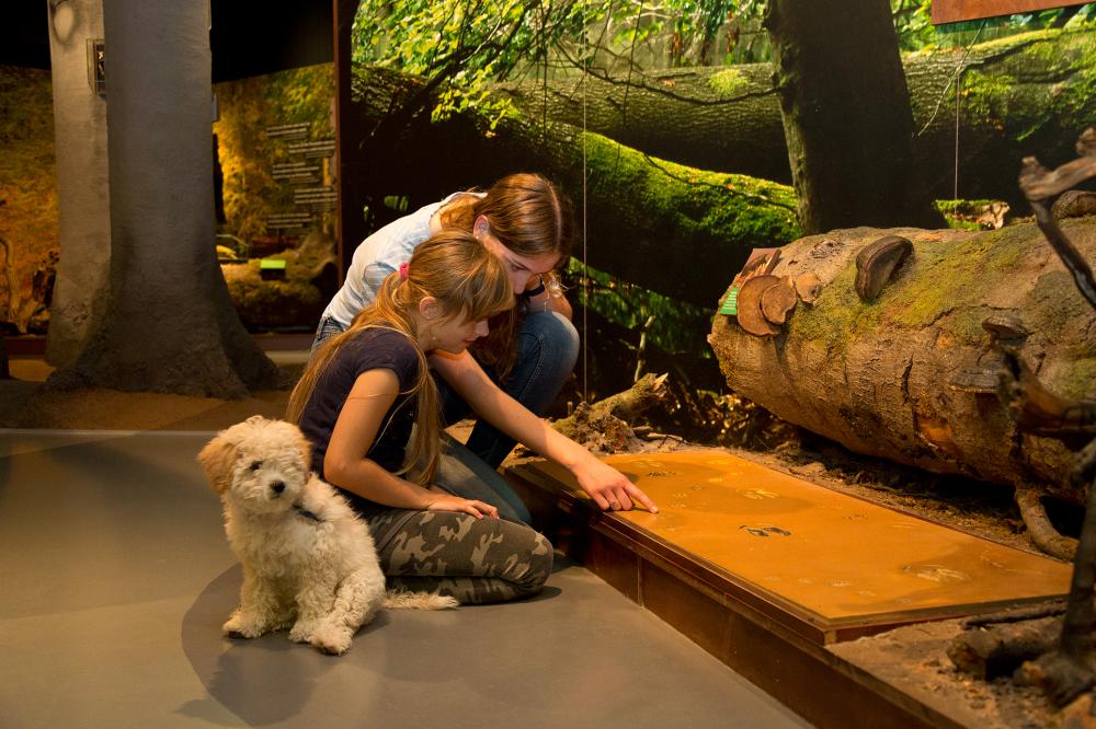 Naturerlebnis mit der ganzen Familie im Müritzeum, Foto: Mirko Runge, Lizenz: Müritzeum gGmbH Naturerlebnis mit der ganzen Familie im Müritzeum, Foto: Mirko Runge, Lizenz: Müritzeum gGmbH